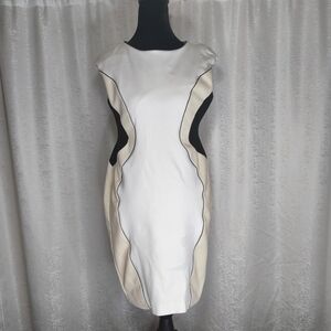Ann Taylor Women's Colorblock Sheath Dress Cream Black Ivory Bodycon Size 4P